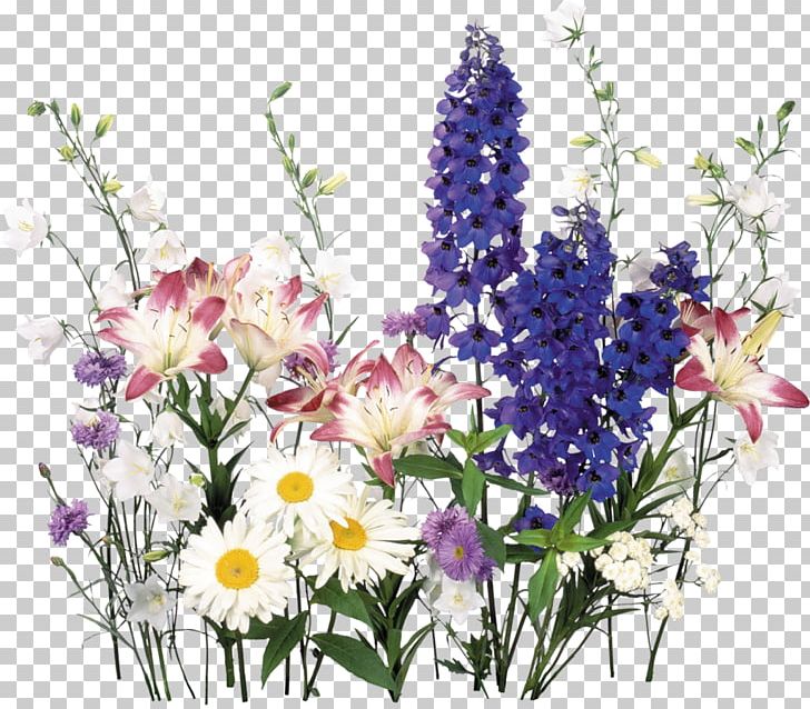 Flower Of The Fields PNG, Clipart, Annual Plant, Art, Artificial Flower, Chamomile, Color Free PNG Download