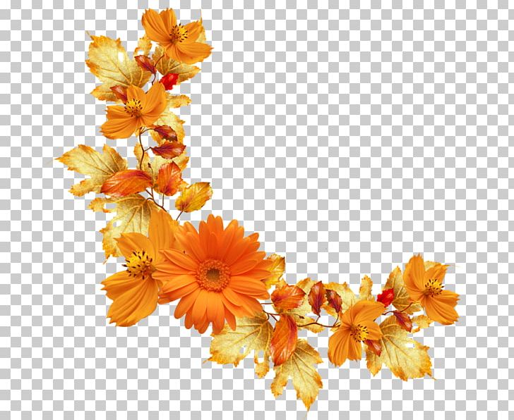 Flower Orange Paper PNG, Clipart, Autumn, Boarder, Branch, Clip Art, Color Free PNG Download