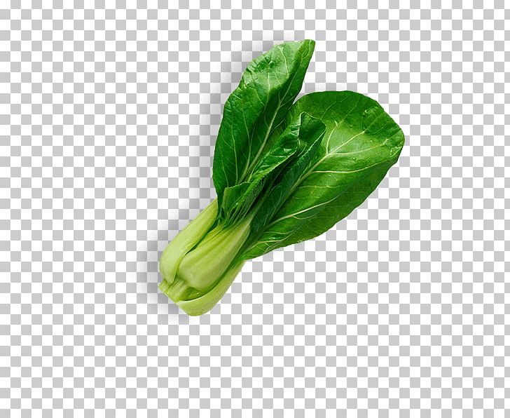 Leaf Vegetable Salad Food PNG, Clipart, Brassica Oleracea, Brussels Sprout, Cabbage, Cauliflower, Chard Free PNG Download