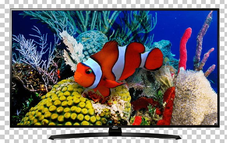 LG LH630V LED-backlit LCD 1080p Smart TV PNG, Clipart, 4k Resolution, 1080p, Advertising, Aquarium, Coral Free PNG Download