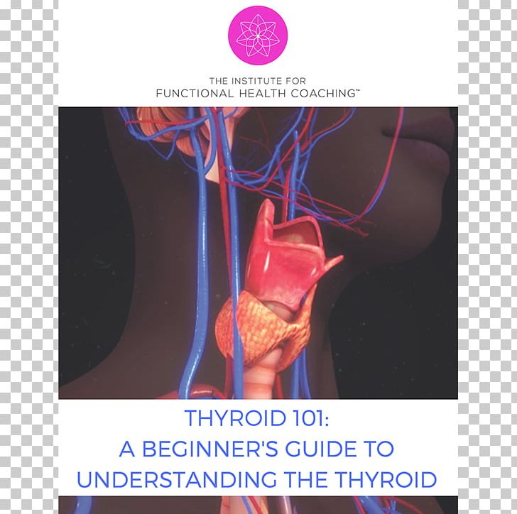 Thyroid Nodule Stock Photography Thyroid Disease Hypothyroidism PNG, Clipart, Disease, Feeling Tired, Finger, Health, Human Body Free PNG Download