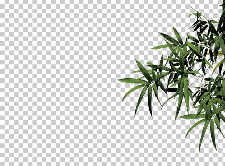 Wen Xuan Bamboo Ink PNG, Clipart, Angle, Bamboo, Bamboo Border, Bamboo Frame, Bamboo Leaf Free PNG Download