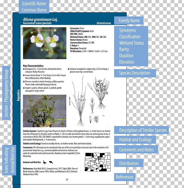 Wetland Plants Wetland Indicators Field Guide PNG, Clipart, Brochure, Conservation, Ecology, Field, Field Guide Free PNG Download