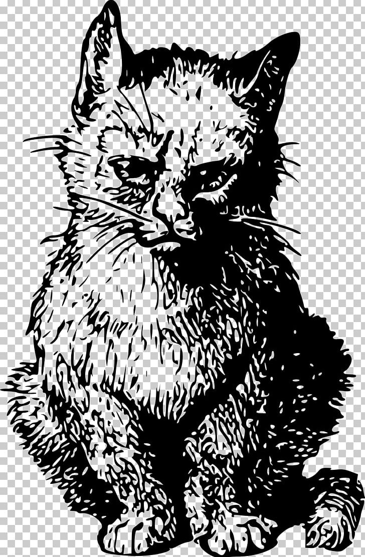 Kitten Whiskers Cat PNG, Clipart, Angry Cat, Animals, Art, Black, Carnivoran Free PNG Download