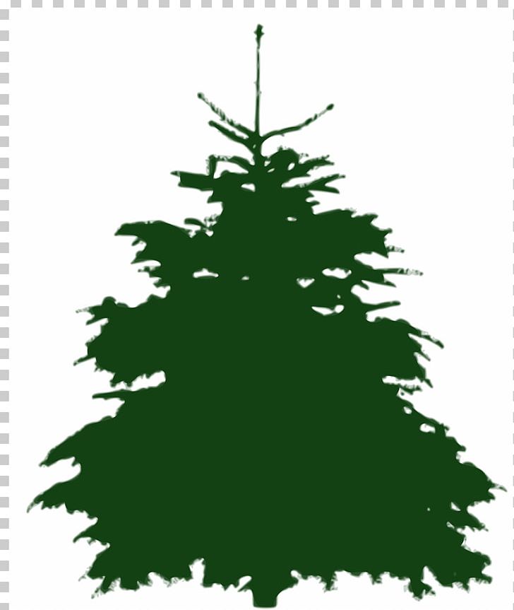 Tree Fir Silhouette PNG, Clipart, Barr, Branch, Christmas, Christmas Decoration, Christmas Ornament Free PNG Download