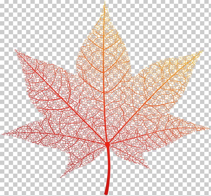 Autumn Leaf Color PNG, Clipart, Autumn, Autumn Leaf Color, Autumn Leaves, Clip Art, Color Free PNG Download