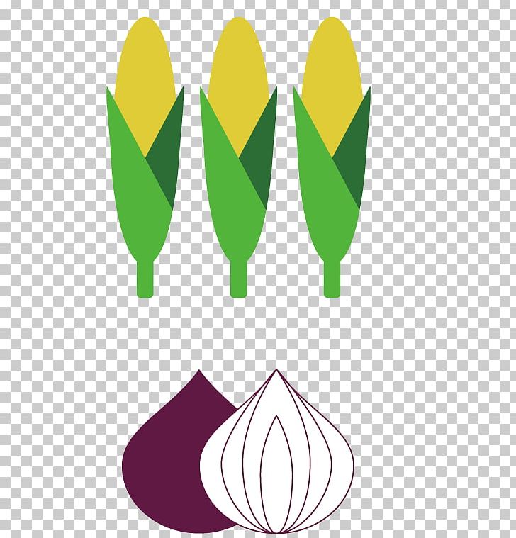 Leaf PNG, Clipart, Corn, Green, Kitchen, Kitchen Cabinets, Kitchen Pack Free PNG Download