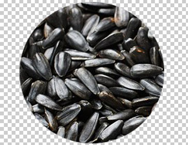 Nut Vegetarian Cuisine Sunflower Seed Common Sunflower PNG, Clipart, Annual Plant, Black And White, Commodity, Common Sunflower, Food Free PNG Download