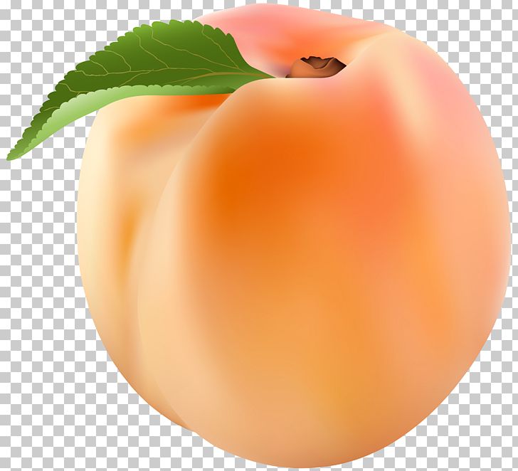 Peach PNG, Clipart, Apple, Apricot, Blog, Brugnon, Clipart Free PNG Download