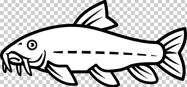 Catfish Drawing PNG, Clipart, Area, Art, Black, Black And White, Catfish Free PNG Download