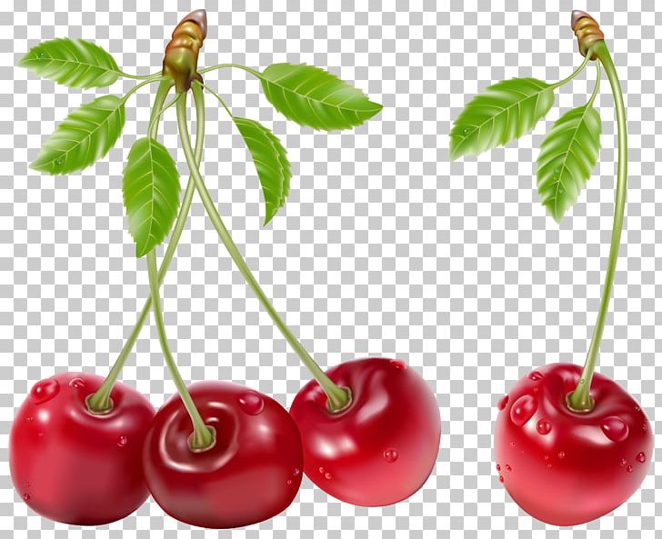 Cherry Encapsulated PostScript PNG, Clipart, Acerola, Acerola Family, Berry, Cdr, Cherry Free PNG Download