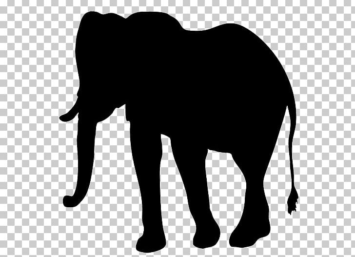 Elephant Drawing PNG, Clipart, Big Cats, Black, Black And White, Cat Like Mammal, Circus Free PNG Download