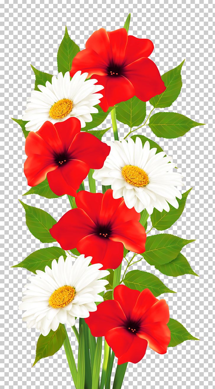 Flower PNG, Clipart, Annual Plant, Color, Cut Flowers, Dahlia, Daisy Family Free PNG Download