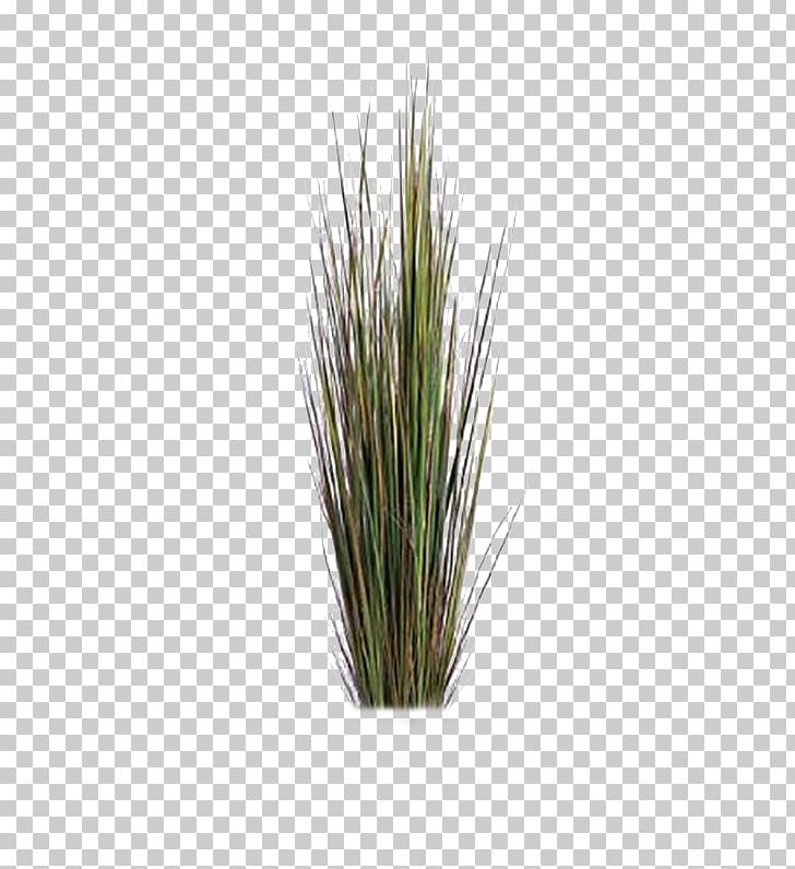 Plant Tree Artificial Flower PNG, Clipart, Artificial Flower, Bamboo, Chrysopogon Zizanioides, Commodity, Flower Free PNG Download