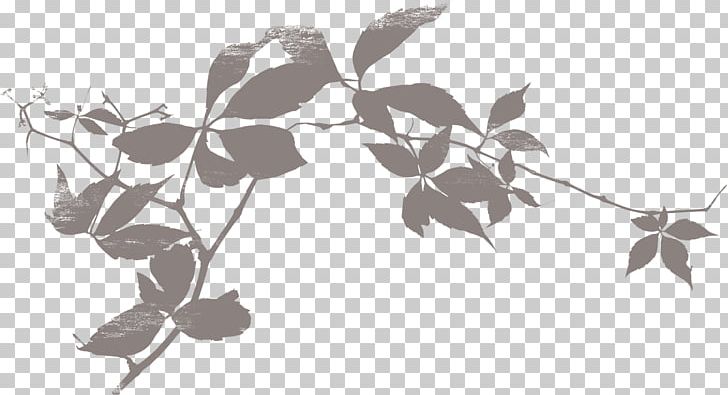 Shadow Silhouette Leaf PNG, Clipart, Angle, Animals, Branch, Branches, City Silhouette Free PNG Download