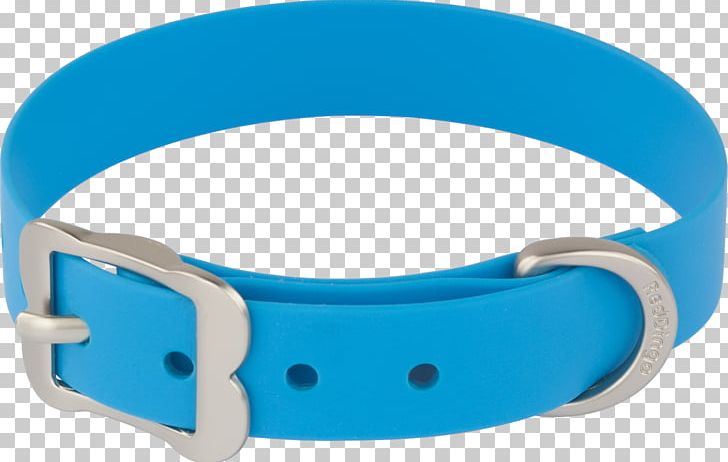 Dog Collar Dingo Dog Collar Polyvinyl Chloride PNG, Clipart, Blue, Buckle, Collar, Dingo, Dog Free PNG Download