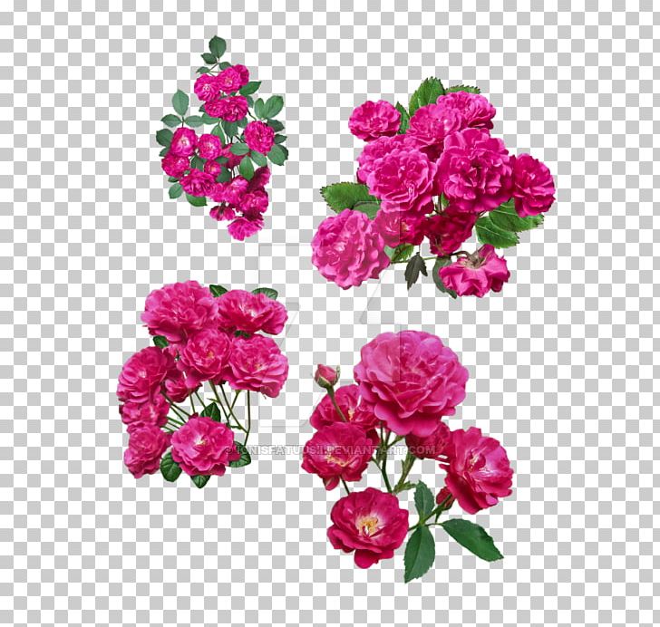 Garden Roses Floribunda Cabbage Rose Shrub Flower PNG, Clipart, Annual Plant, Art, Cut Flowers, Deviantart, Floral Design Free PNG Download