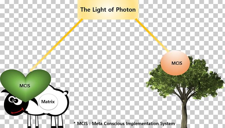 Light Photon Tree Plants Consciousness PNG, Clipart, Being, Brand, Consciousness, Energy, Existence Free PNG Download