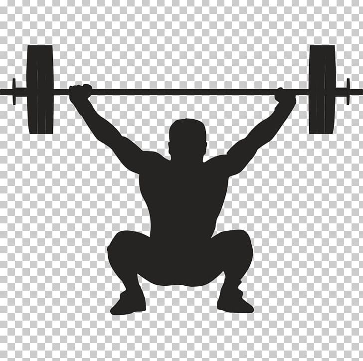 Olympic Weightlifting Weight Training Bench PNG, Clipart, Abdomen, Arm, Balance, Barbell, Bench Free PNG Download