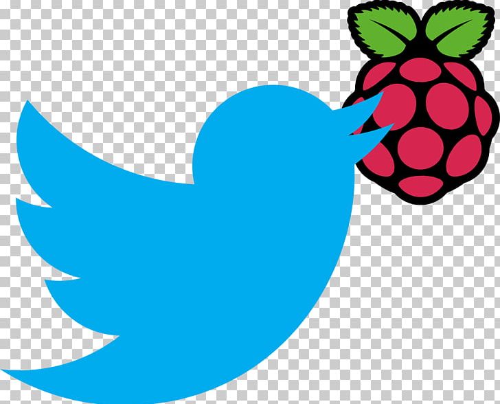 Raspberry Pi Foundation Computer Software Kodi PNG, Clipart, Arduino, Area, Artwork, Bbc Micro, Computer Free PNG Download