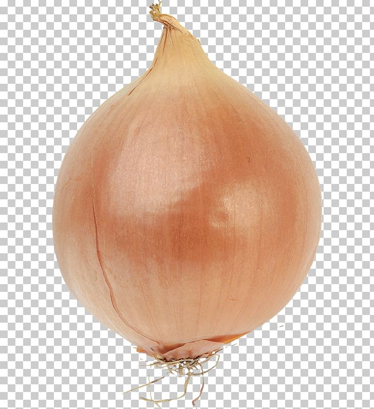 Bulb Onions Bulb Onions Vegetable Red Onion PNG, Clipart, Allium, Allium Fistulosum, Bulb, Cosa, Food Free PNG Download