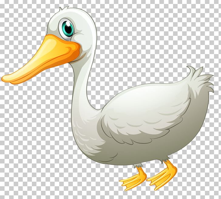 Duck Pato Branco Goose Drawing PNG, Clipart, Alexandre Pato, Animal, Animals, Background White, Beak Free PNG Download