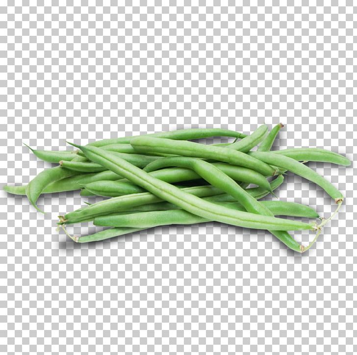 Green Bean Common Bean Vegetable Lima Bean PNG, Clipart, Allium Fistulosum, Americas, Bean, Bonduelle, Common Bean Free PNG Download