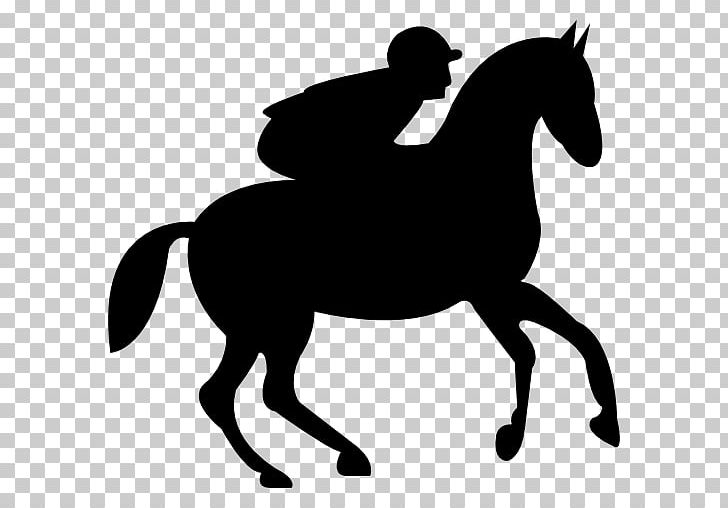 Horse Equestrian Jockey Stallion PNG, Clipart, Black And White, Bridle, Computer Icons, Download, Dressage Free PNG Download