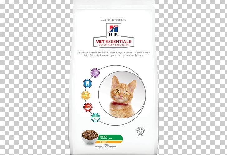 Kitten Cat Hill's Pet Nutrition Veterinarian Dog PNG, Clipart,  Free PNG Download