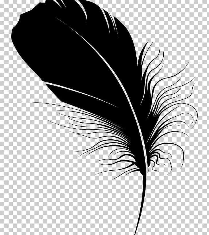 White and black feather illustration, Bird Feather Silhouette, Black feather  quill pen, animals, black Hair, peacock Feather png