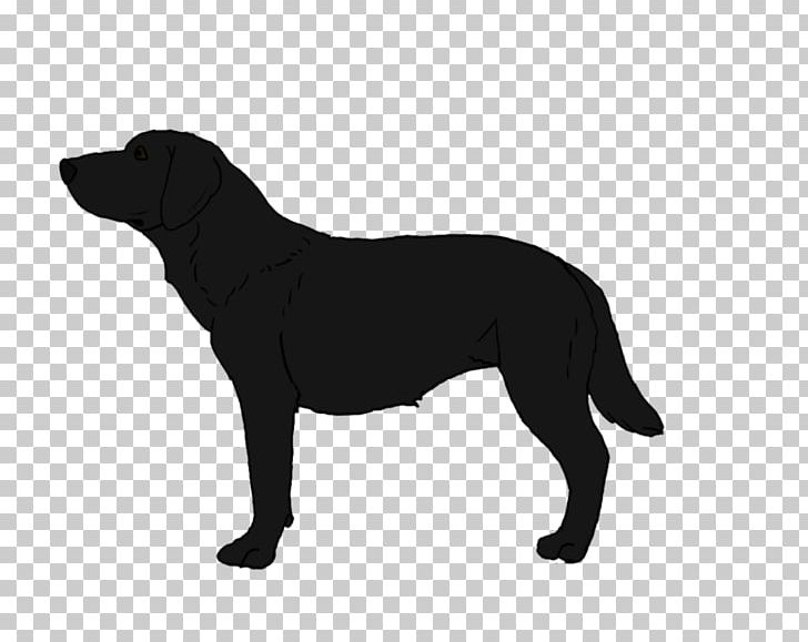 Labrador Retriever Puppy Horse American Staffordshire Terrier Rough ...