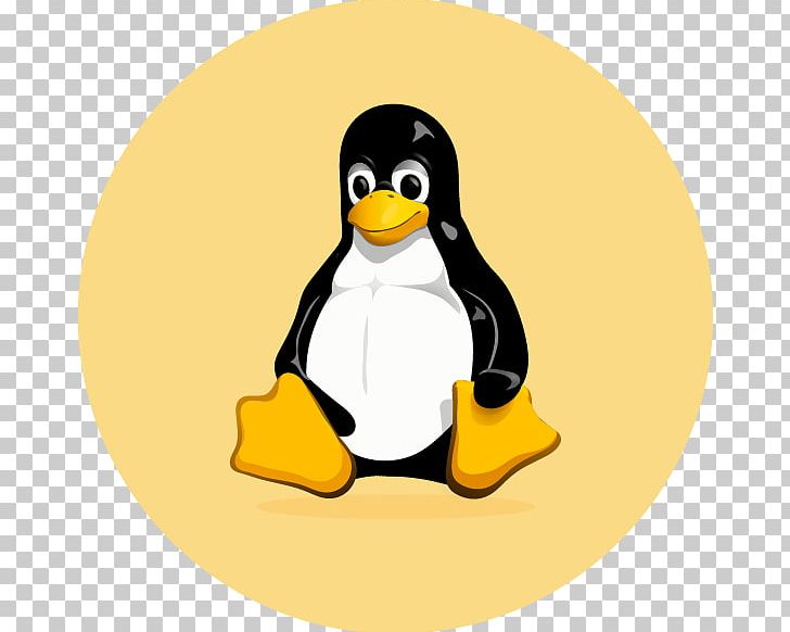 Linux Tux Installation Linux Distribution PNG, Clipart, Beak, Bird, Computer Software, Crash Reporter, Flightless Bird Free PNG Download