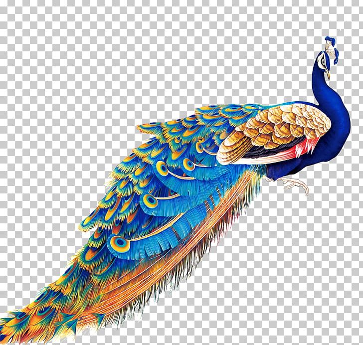 Peafowl Display Resolution PNG, Clipart, Animals, Beak, Bird, Blue, Blue Abstract Free PNG Download