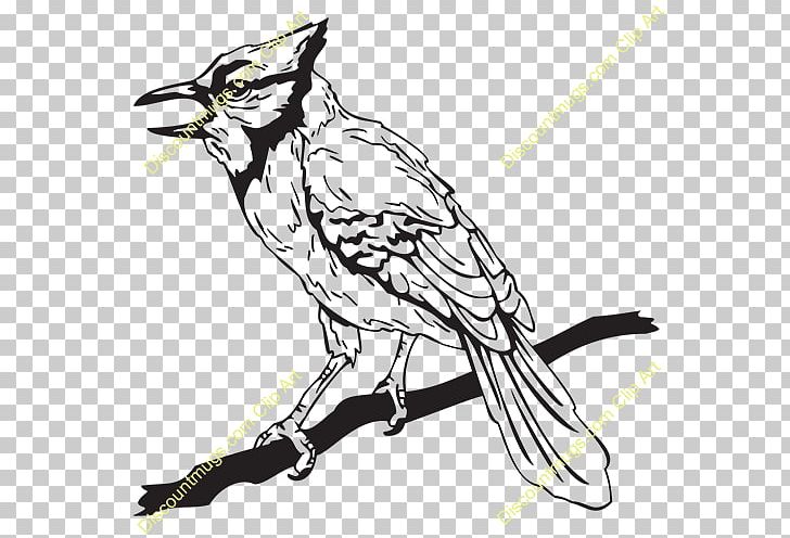 Sketch Fauna Line Art Illustration PNG, Clipart, Art, Artwork, Beak, Bird, Black Free PNG Download