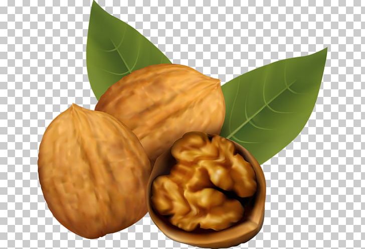 Walnut PNG, Clipart, Commodity, Desktop Wallpaper, Drawing, Dried Fruit, English Walnut Free PNG Download