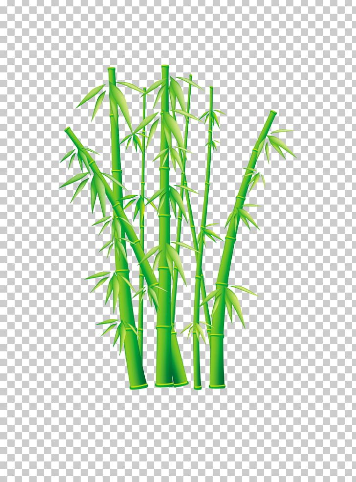 Bambusodae Free Content PNG, Clipart, Art Green, Background Green, Bamboo, Bambusodae, Clip Art Free PNG Download