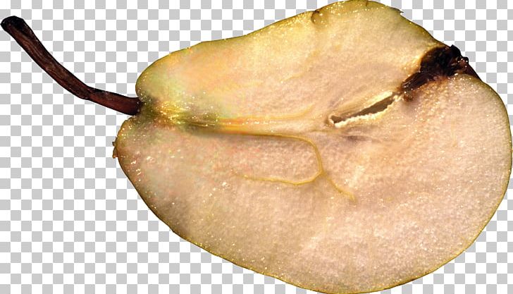Fruit Food Pear PNG, Clipart, Auglis, Food, Fruit, Fruit Nut, Grape Free PNG Download