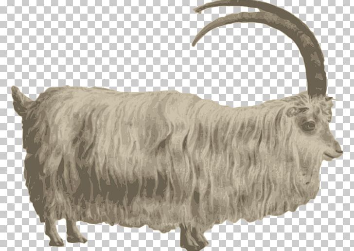 Mountain Goat Barbary Sheep PNG, Clipart, Animal, Animals, Barbary Sheep, Cartoon Goat, Cattle Like Mammal Free PNG Download