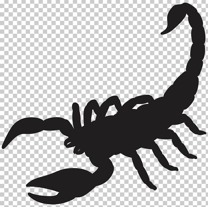 Scorpion Silhouette Drawing PNG, Clipart, Arachnid, Art, Arthropod, Black And White, Claw Free PNG Download