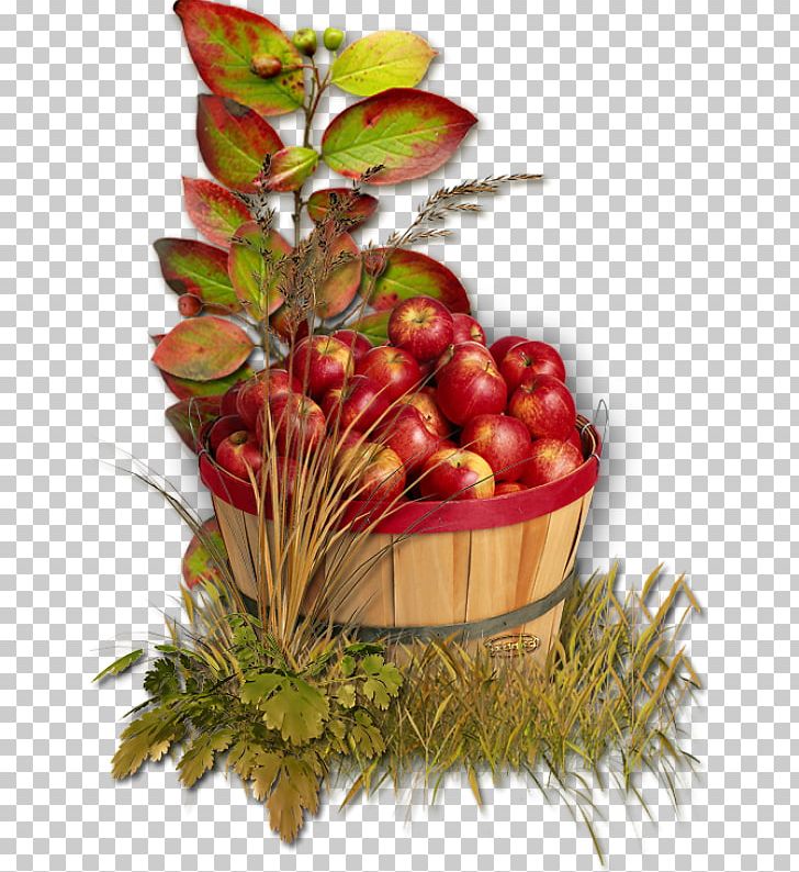 Apple Autumn Harvest PNG, Clipart, Apple, Auglis, Autumn, Desktop Wallpaper, Food Free PNG Download
