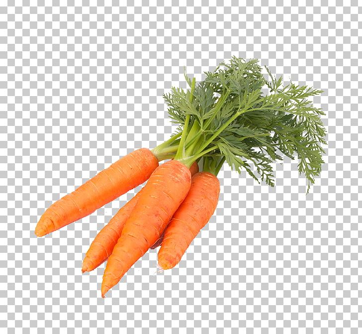 Carrot Vegetable Food PNG, Clipart, Baby Carrot, Carrot, Cauliflower, Chinese Cabbage, Daucus Carota Free PNG Download