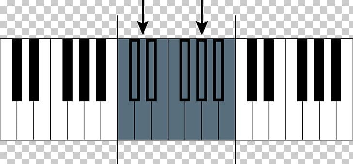 Digital Piano Electric Piano Electronic Keyboard Musical Keyboard Pianet PNG, Clipart, Digital Piano, Electronic Keyboard, Electronic Musical Instrument, Electronic Musical Instruments, Keyboard Free PNG Download