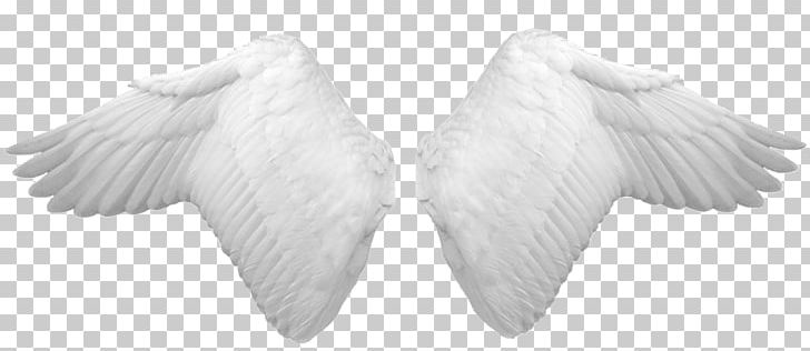 White Others Monochrome PNG, Clipart, Angel, Angel Wing, Angel Wings, Beak, Black And White Free PNG Download