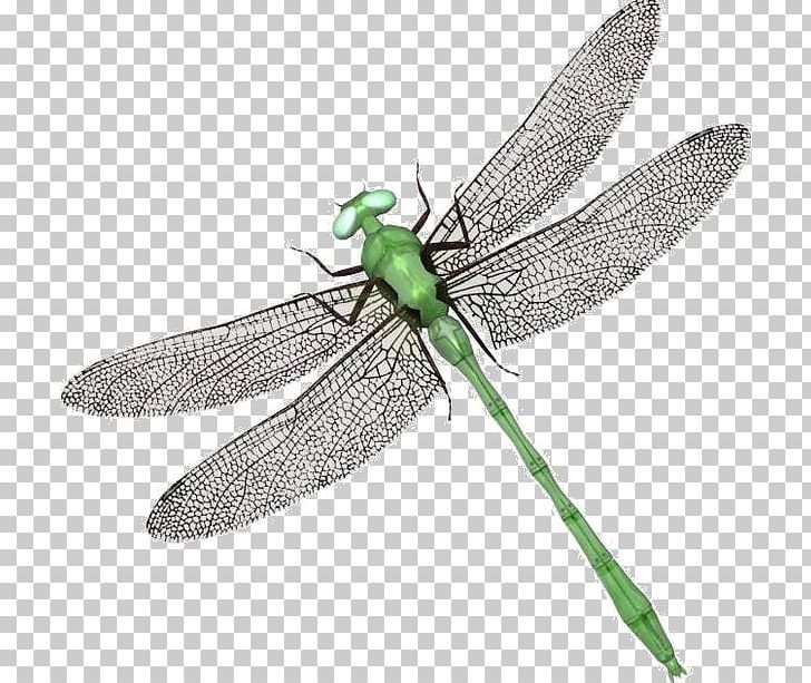 Insect Odonate Embroidery Photography PNG, Clipart, Animal, Animals, Arthropod, Bumblebee, Crossstitch Free PNG Download