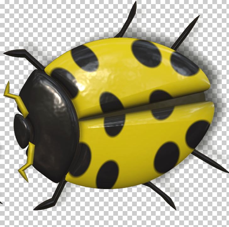 Beetle Yellow Ladybird PNG, Clipart, Animals, Arthropod, Bee, Beetle, Download Free PNG Download