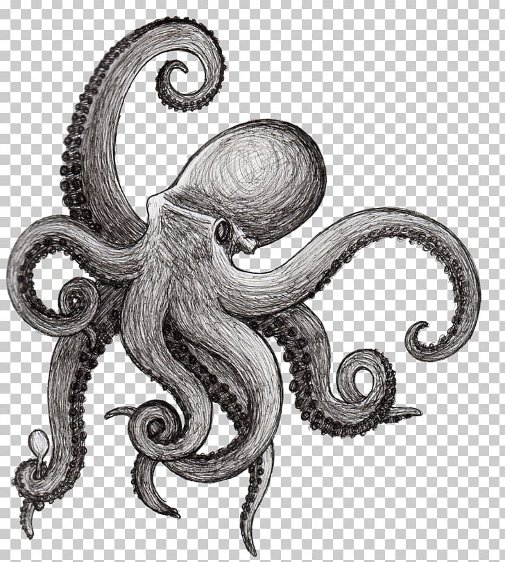 Octopus Drawing Squid Tentacle PNG, Clipart, Art, Black And White, Cephalopod, Drawing, Ink Free PNG Download