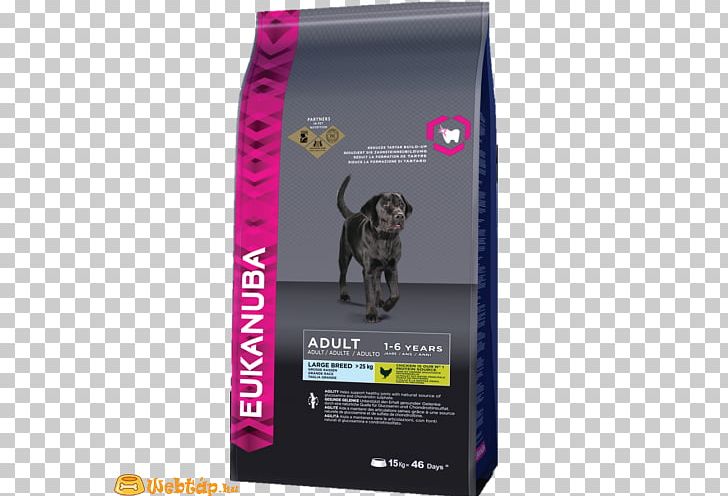 Puppy Cat Food Labrador Retriever Eukanuba Dog Food PNG, Clipart, Animals, Arpa, Breed, Cat Food, Cat Like Mammal Free PNG Download