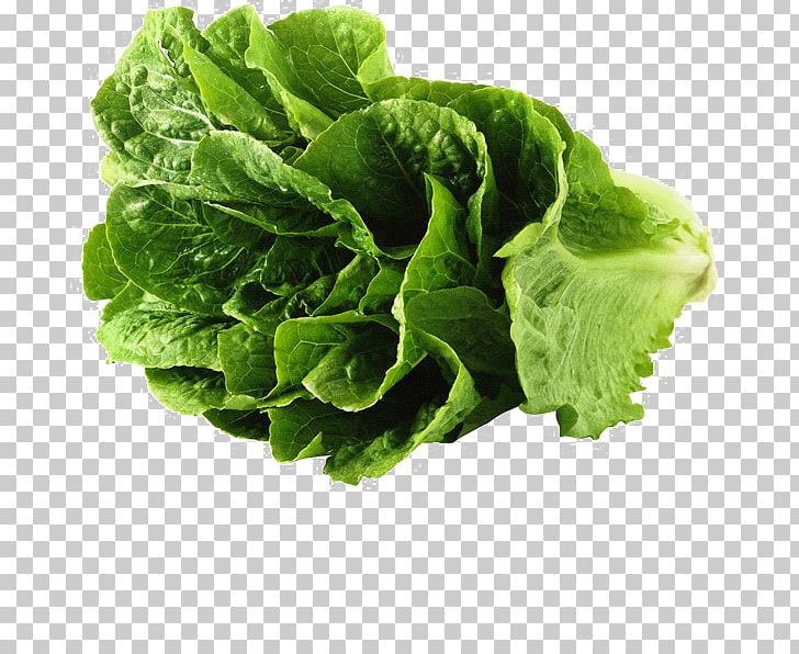 Romaine Lettuce Red Leaf Lettuce Broccoli Leaf Vegetable PNG, Clipart, 7 Th, Background, Broccoli, Cabbage, Chard Free PNG Download