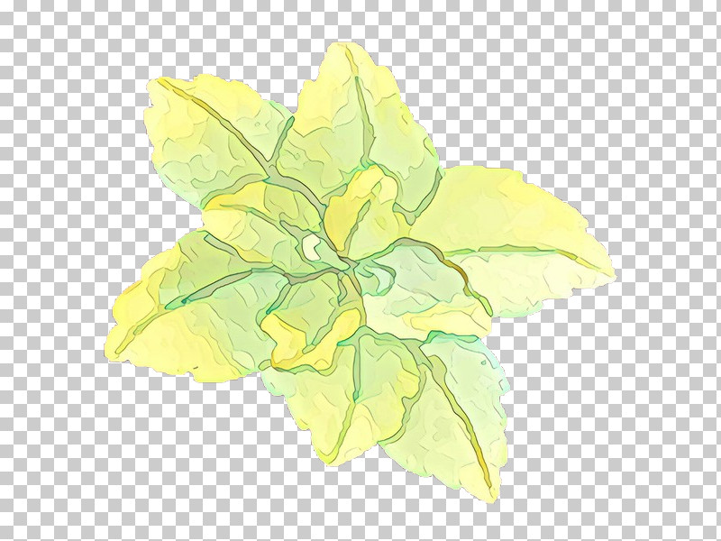 Leaf Yellow Green Flower Plant PNG, Clipart, Flower, Green, Herbaceous Plant, Leaf, Petal Free PNG Download