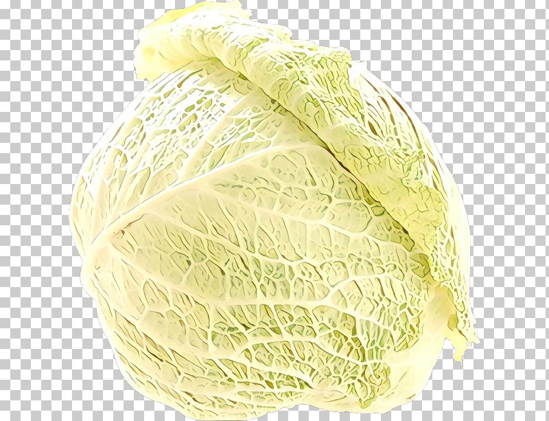Cabbage Savoy Cabbage Vegetable Wild Cabbage Food PNG, Clipart, Cabbage, Chinese Cabbage, Food, Leaf Vegetable, Plant Free PNG Download